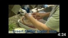 Rosemarry Garlic Chicken