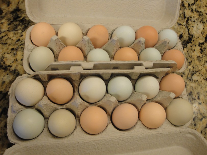 2 doz amerc... eggs