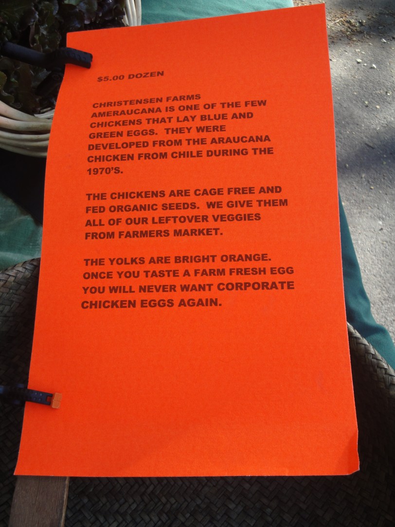 Amerc.. egg sign