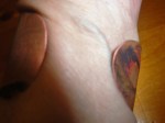 DSC05587